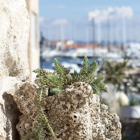 House-apartment Tribalj