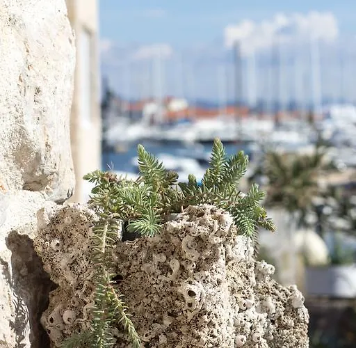 House-apartment Tribalj