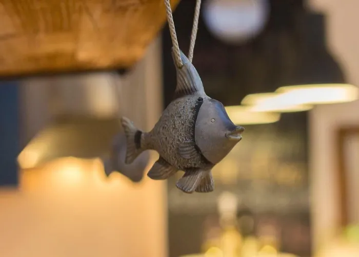 דירה House-apartment