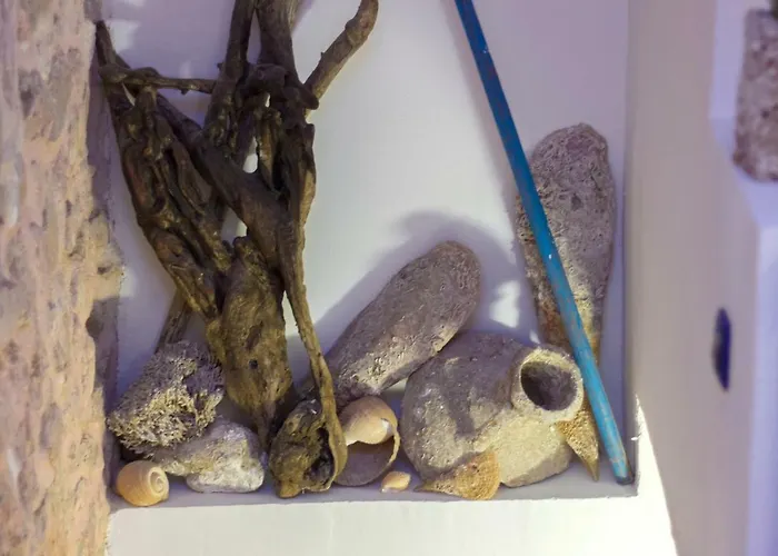 House-apartment Appartement *